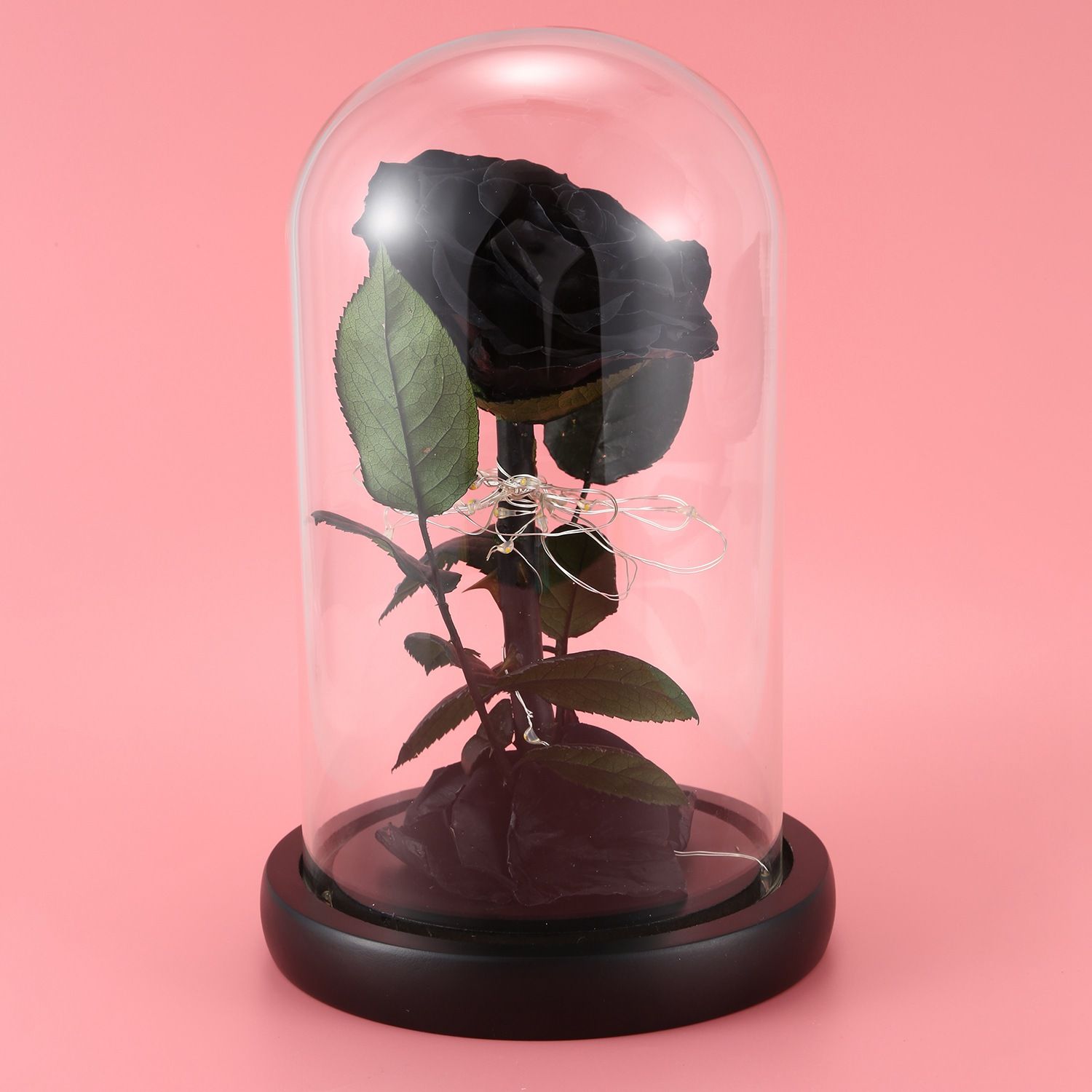 Rose Kit, Red Silk Rose and Led Light with Fallen Petals in Glass Dome on Wooden Base Valentine's Day Anniversary Birthday Black