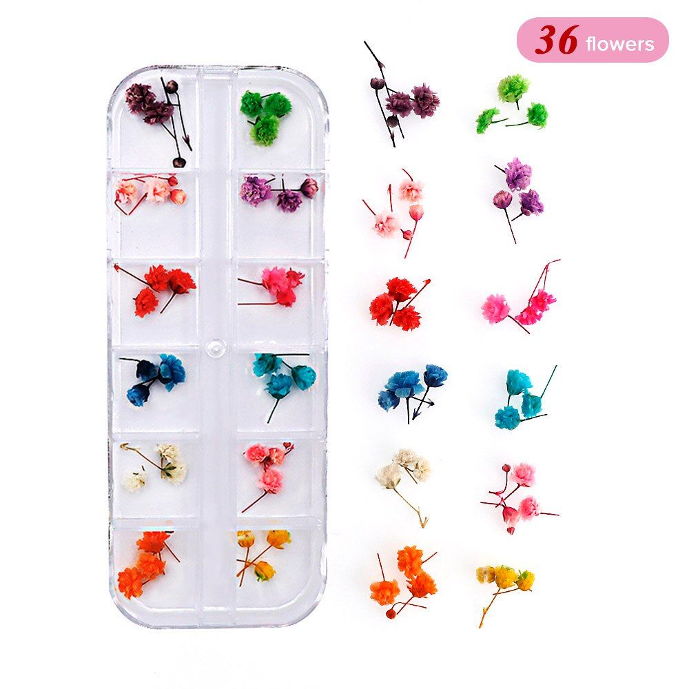 1 Box Of Dried Flowers Suitable For Manicure And Beauty Makeup, Natural Flowers UV Glue Jewelry Epoxy Resin Pendant