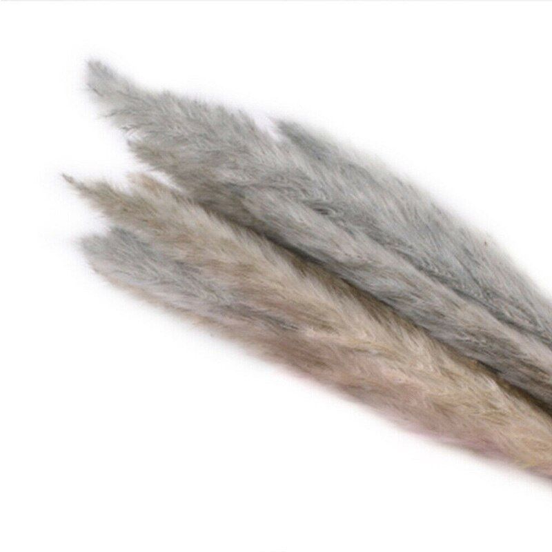 15 Pcs Dried Small Pampas Grass Phragmites Communis Decoration for Home Store Wedding MU8669