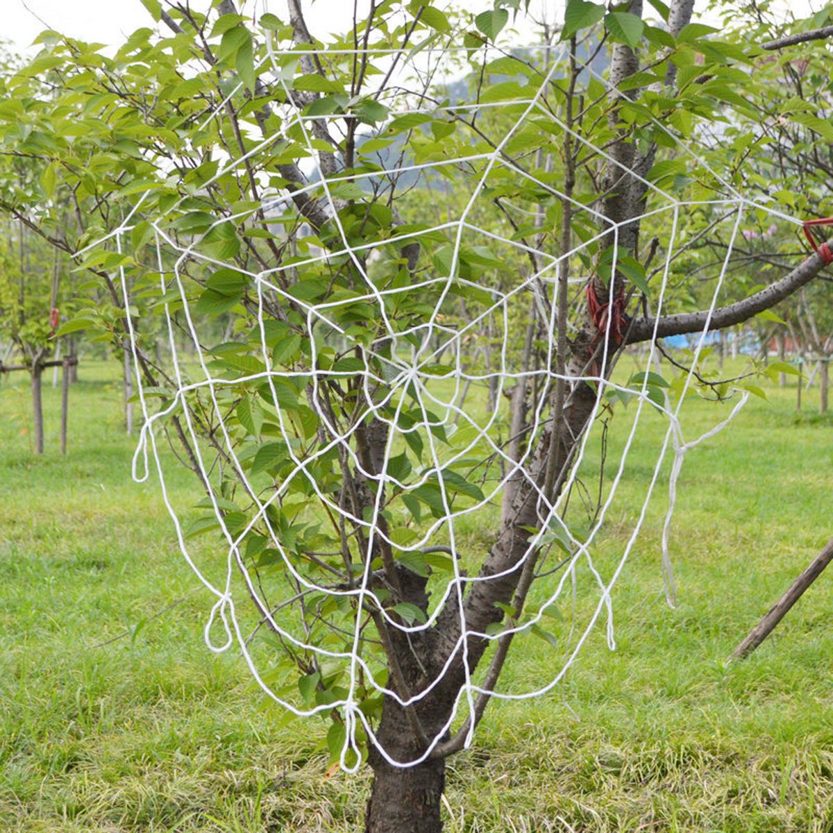 Halloween Nylon Spider Web LED Fairy Lights Colorful Creative Prop Party DIY Party Decoration