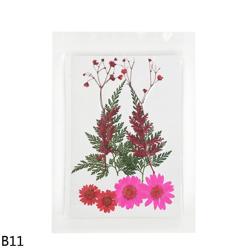 Pressed Flowers Small Dried Flowers Preserved Chrysanthemum Daisy Petal DIY Candle Crafts Home Decor Mini Bloemen Flores Secas