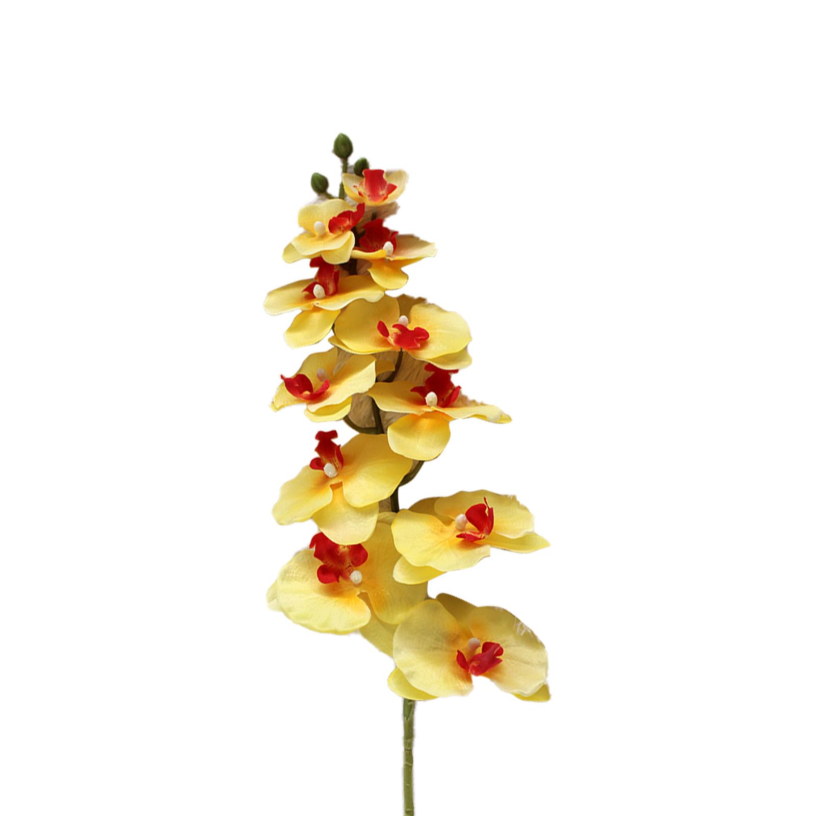 Simulation Ornamental Fake Phalaenopsis Orchid