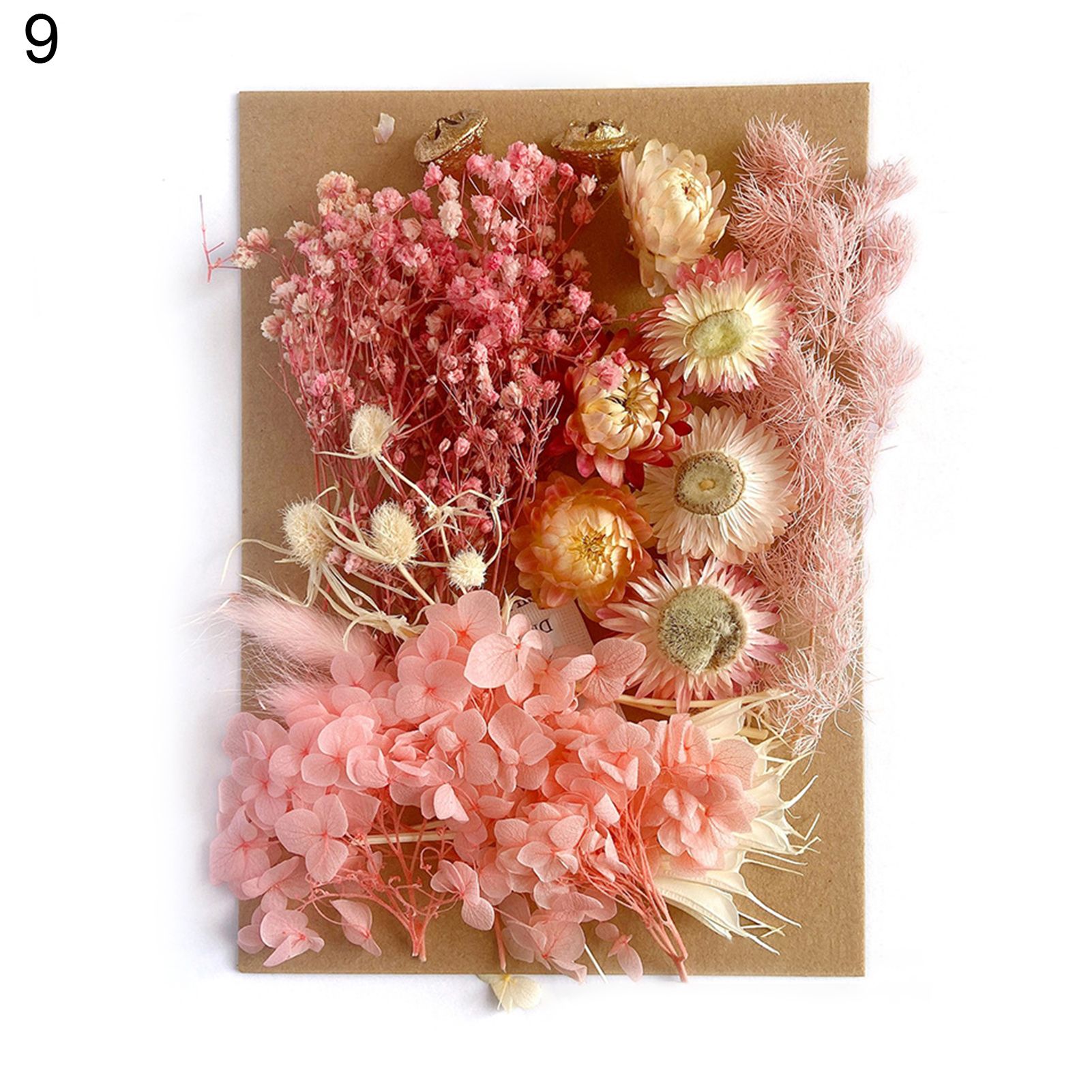 Dried Preserved Flower No Withering Fantastic Detailed Dried Flower Display