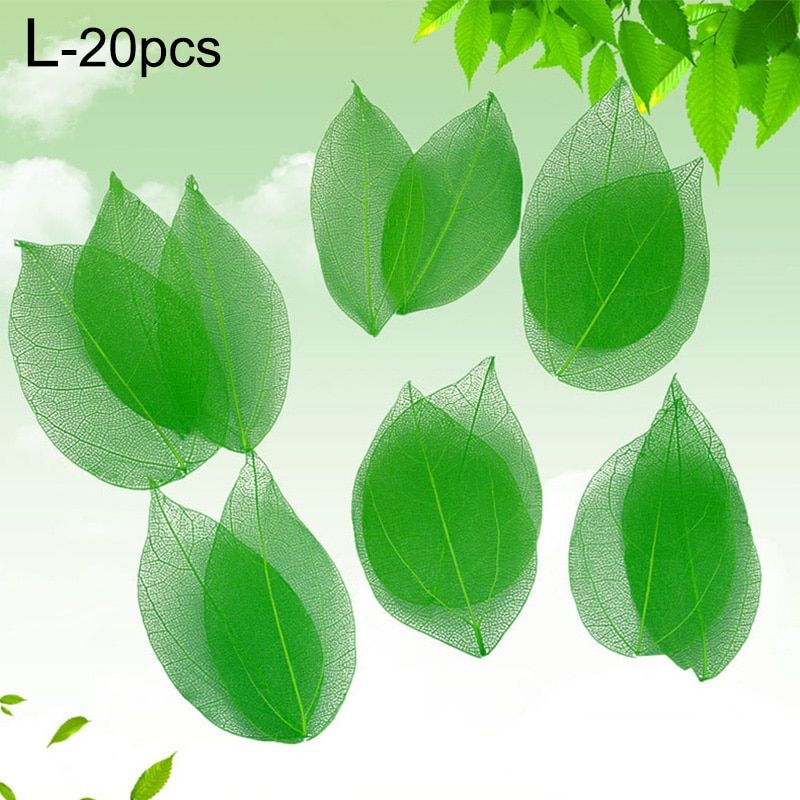 20 Pieces Crafts Pressed Dried Leaves Golden Natural Skeleton Leaves DIY Scrapbooking Wedding Party Festival Decoration Supply