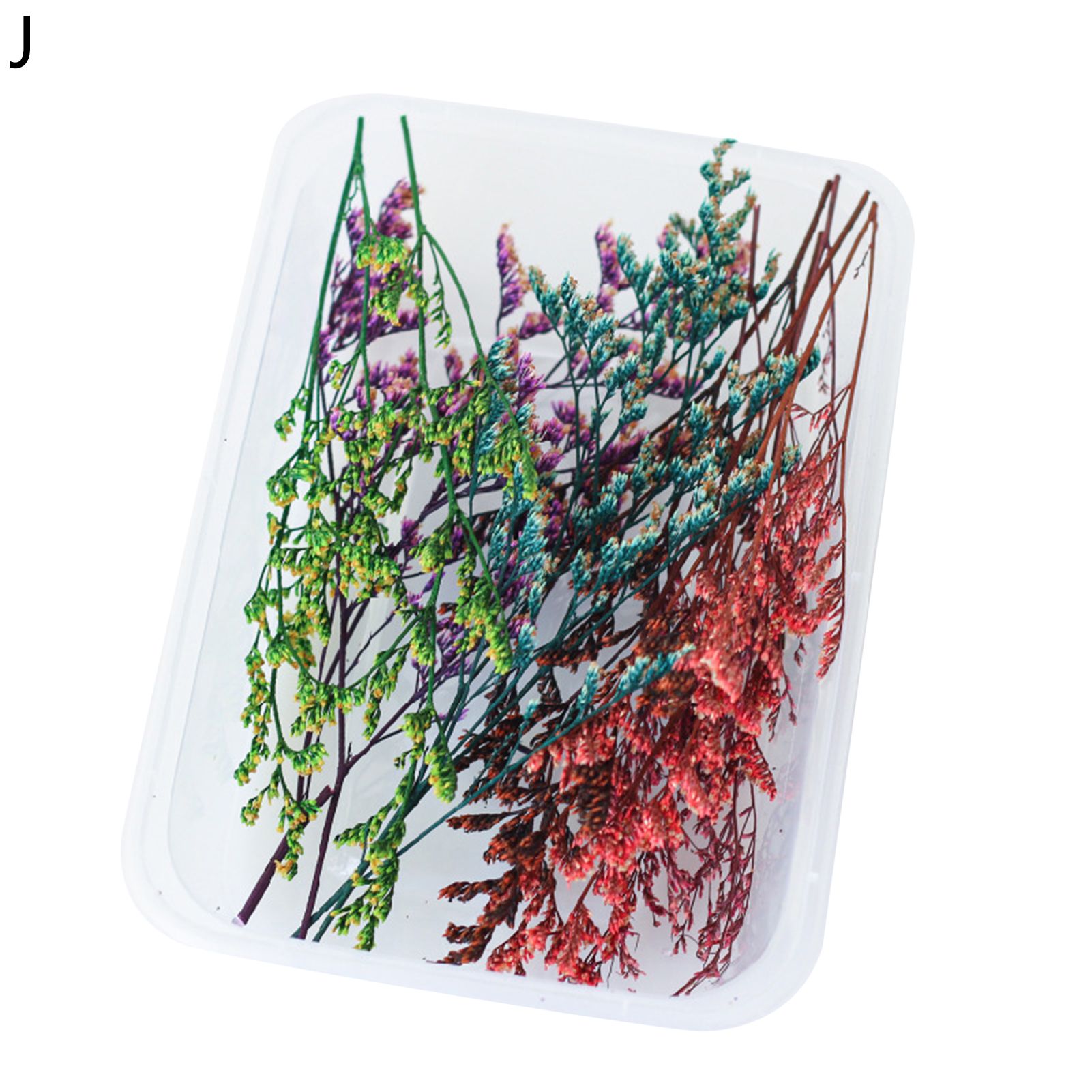 1 Box Art Flower Weather-resistant Decorative Pretty Fine Texture DIY Dried Flower Decor Party Favors