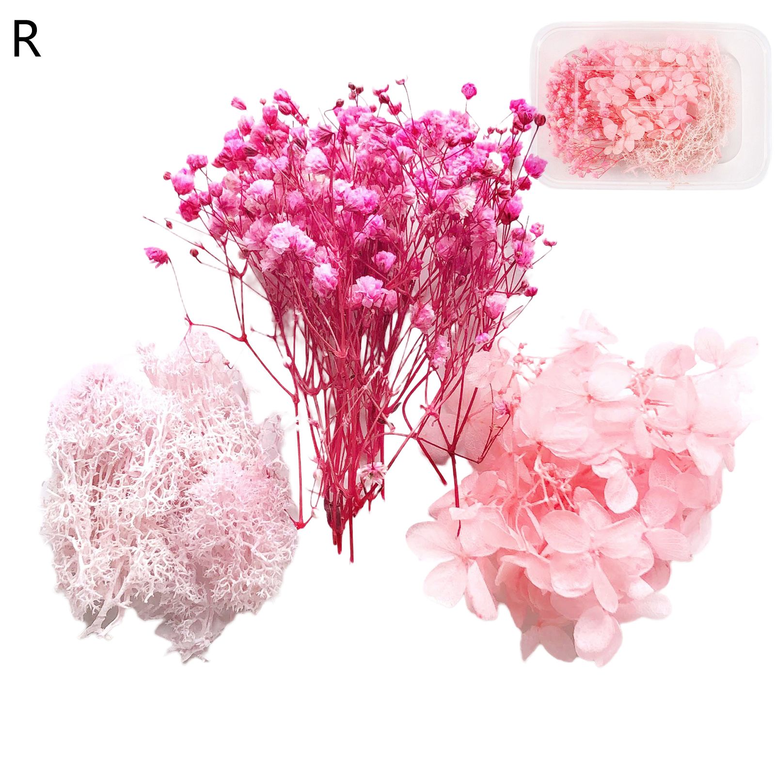Art Flower Versatile Photography Props DIY Art Preserved Flower