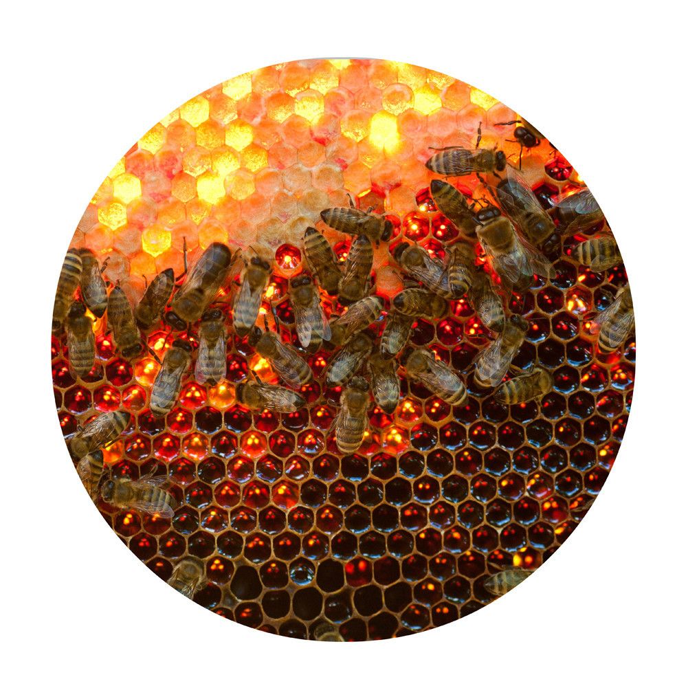 Cross-Border Fashion Personalized Honeycomb Carpet Computer Yoga Mat Round Bee Printed Mat One Piece Customization