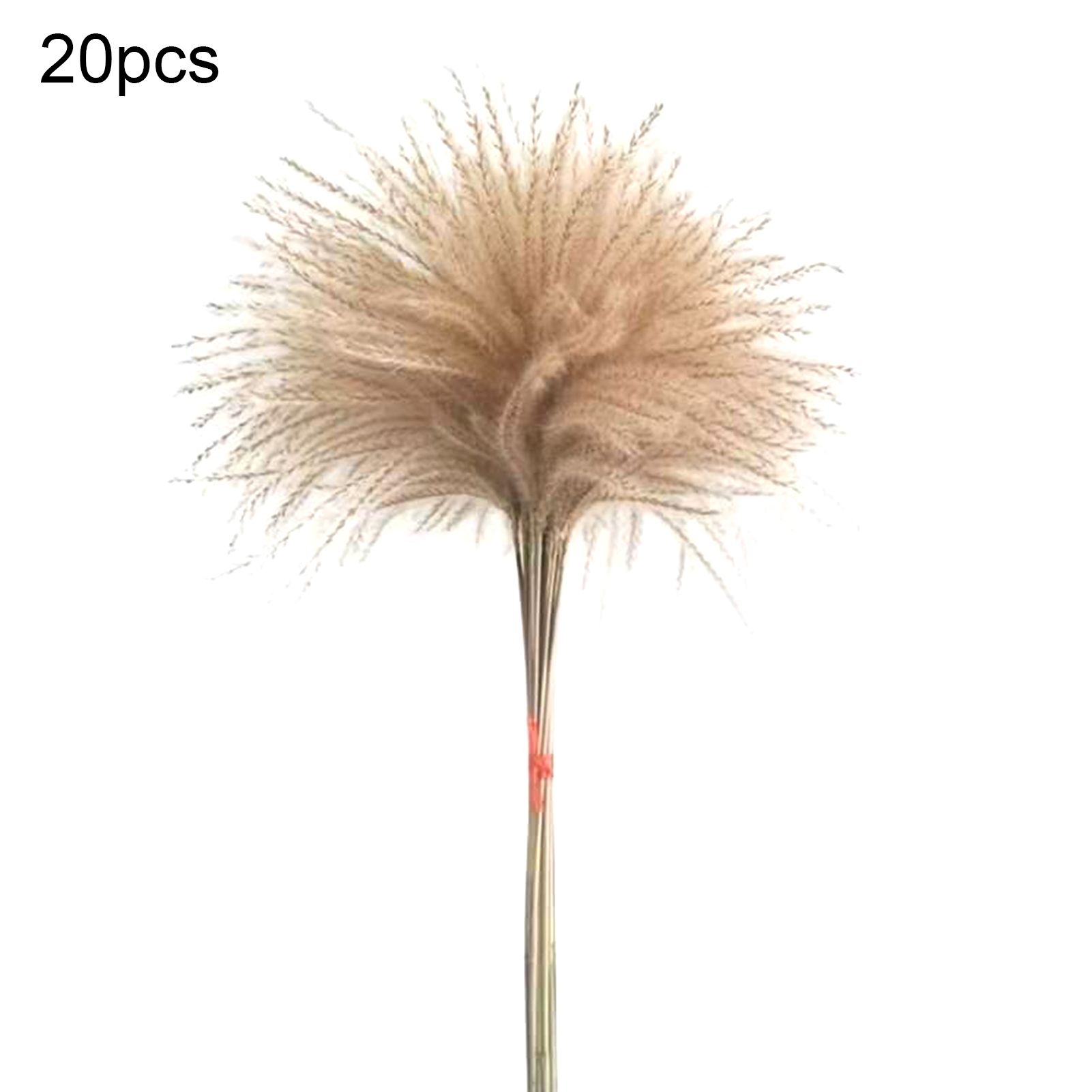 20 Branches Dry Reed Grass Eternal Decorative Multipurpose Dried Flower DIY Wedding Bouquet Decoration Shooting Props