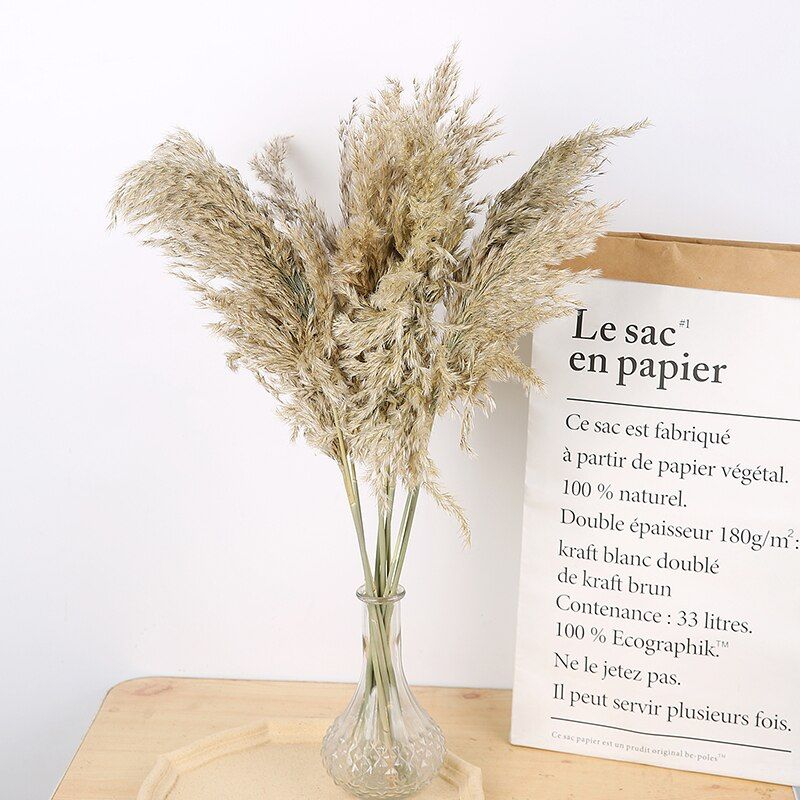 Big Dried Pampas Grass Natural Phragmites&Reed Flowers&Bulrush Bouquet Wedding Flower Ceremony Decoration Modern Home Fall Decor