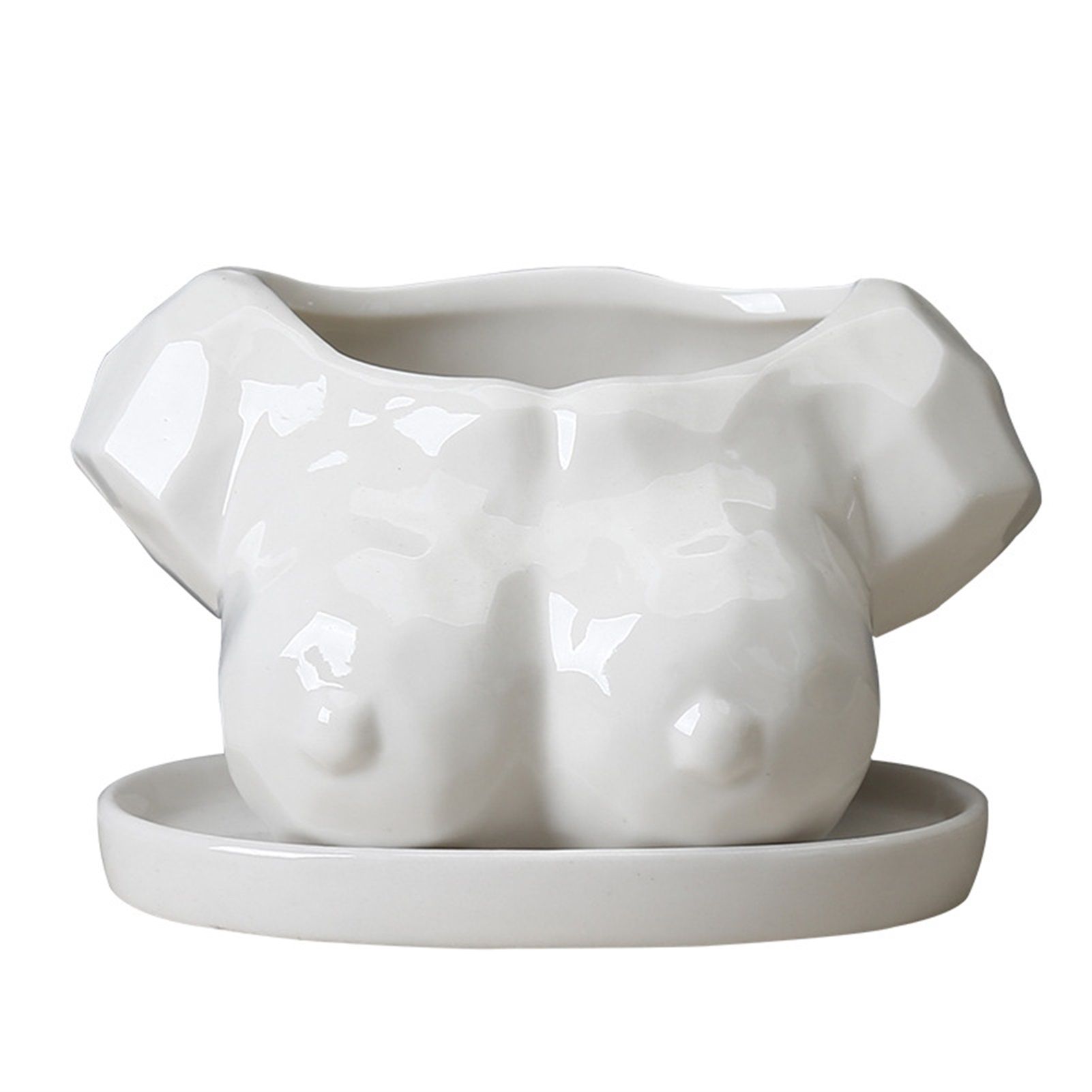 Vase Aesttic ic Style Flower Pot