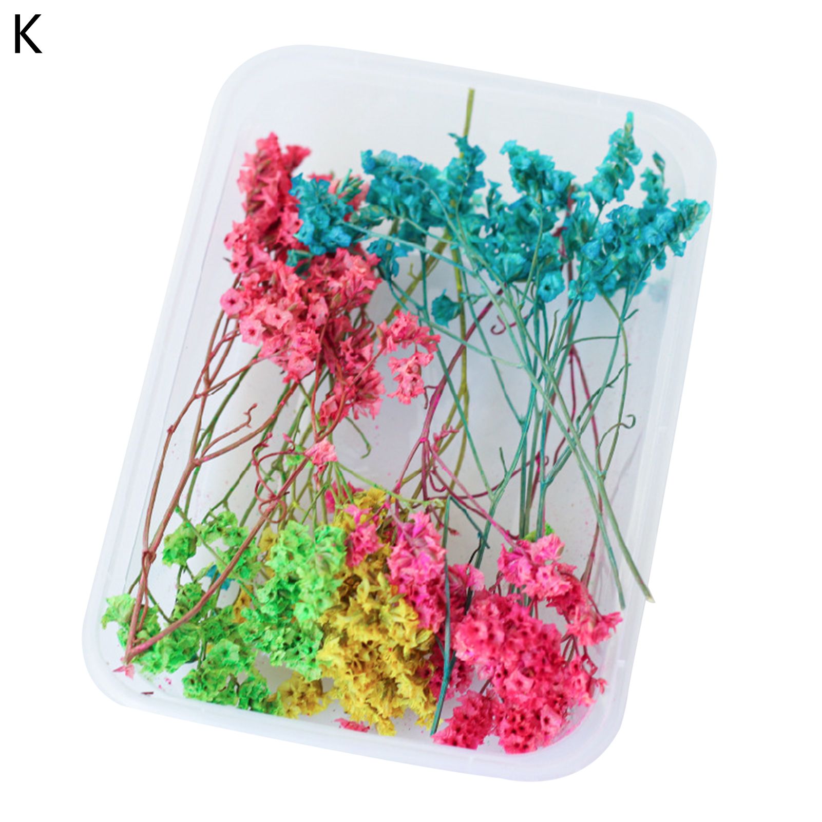 Preserved Flower Exquisite Visual Effect Natural DIY Preserved Flower