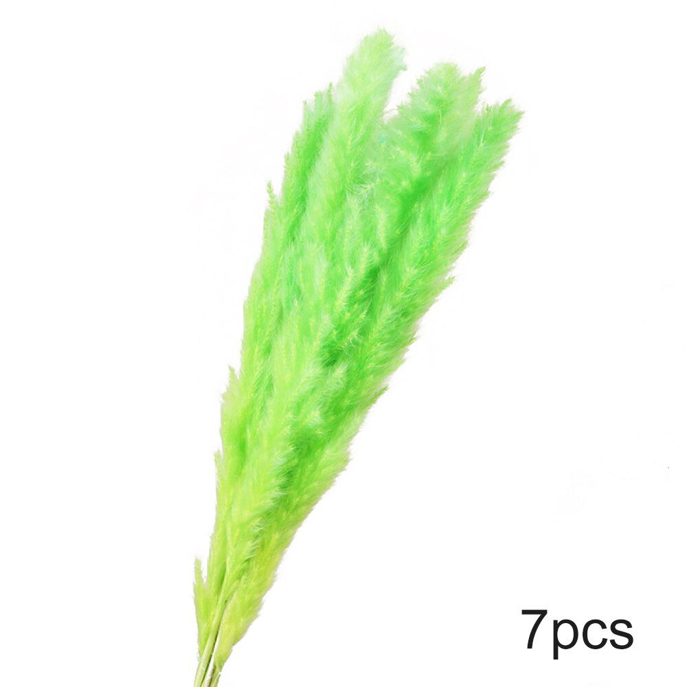 7Pcs DIY Bulrush Natural Dried Small Pampas Grass Phragmites Home Christmas Decoration Dried Flower Bouquet Flower Arrangement