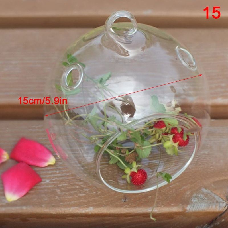 1PC Creative Clear Glass Ball Vase Micro Landscape Air  Terrarium Succulent Hanging Flower Pot Container