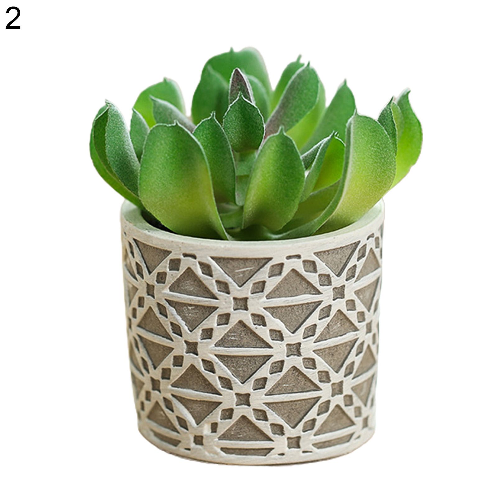 Artificial Anti-Fading Simulation Succulent