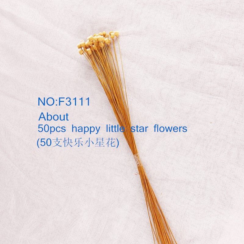 Natural Dried Flowers Setaria reed flower Wedding Party Decoration Craft Scrapbook Diy Home Decoration Wheat Bouquet Photo Props