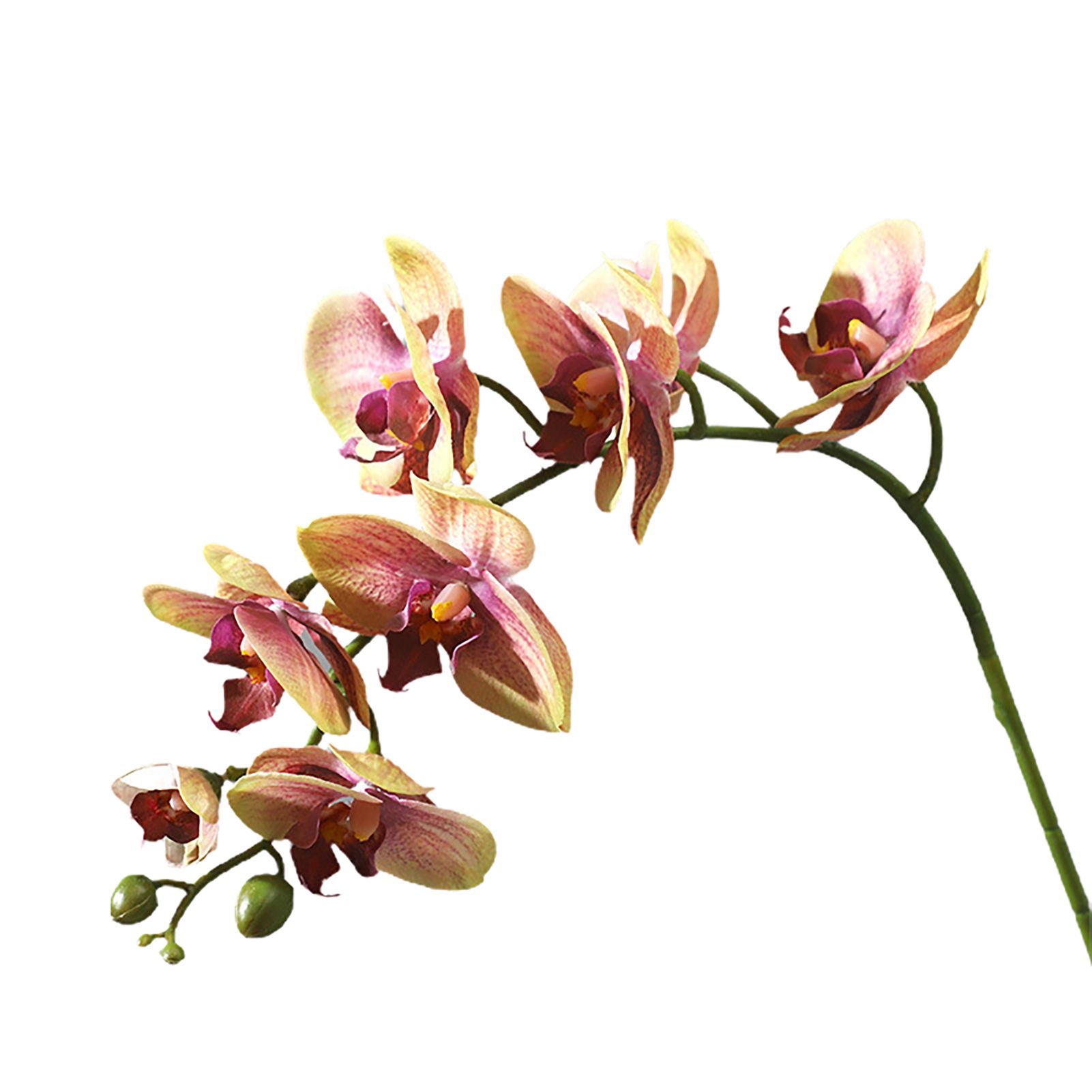 Artificial Flower istic Looking Fade-resistant Fake Phalaenopsis Flower Decor