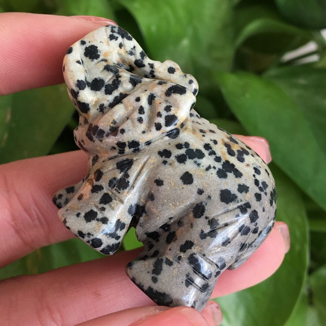 1pcs High Quality Natural Kiwi Jasper Elephant Carving Crystal Stone Animal For Healing Decorative Gift