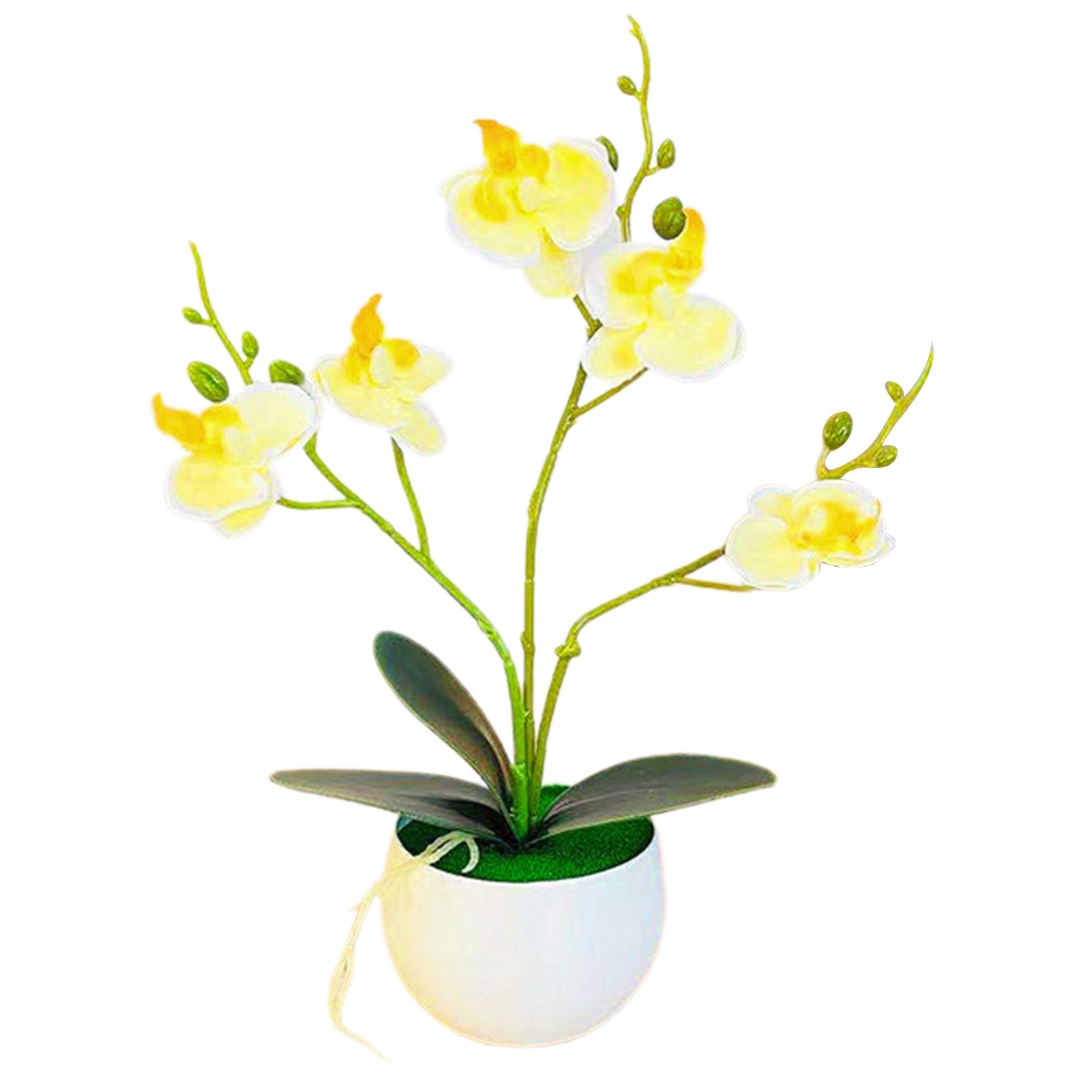 Simulation Bonsai Prtical Butterfly Orchid Vivid Simulation Bonsai