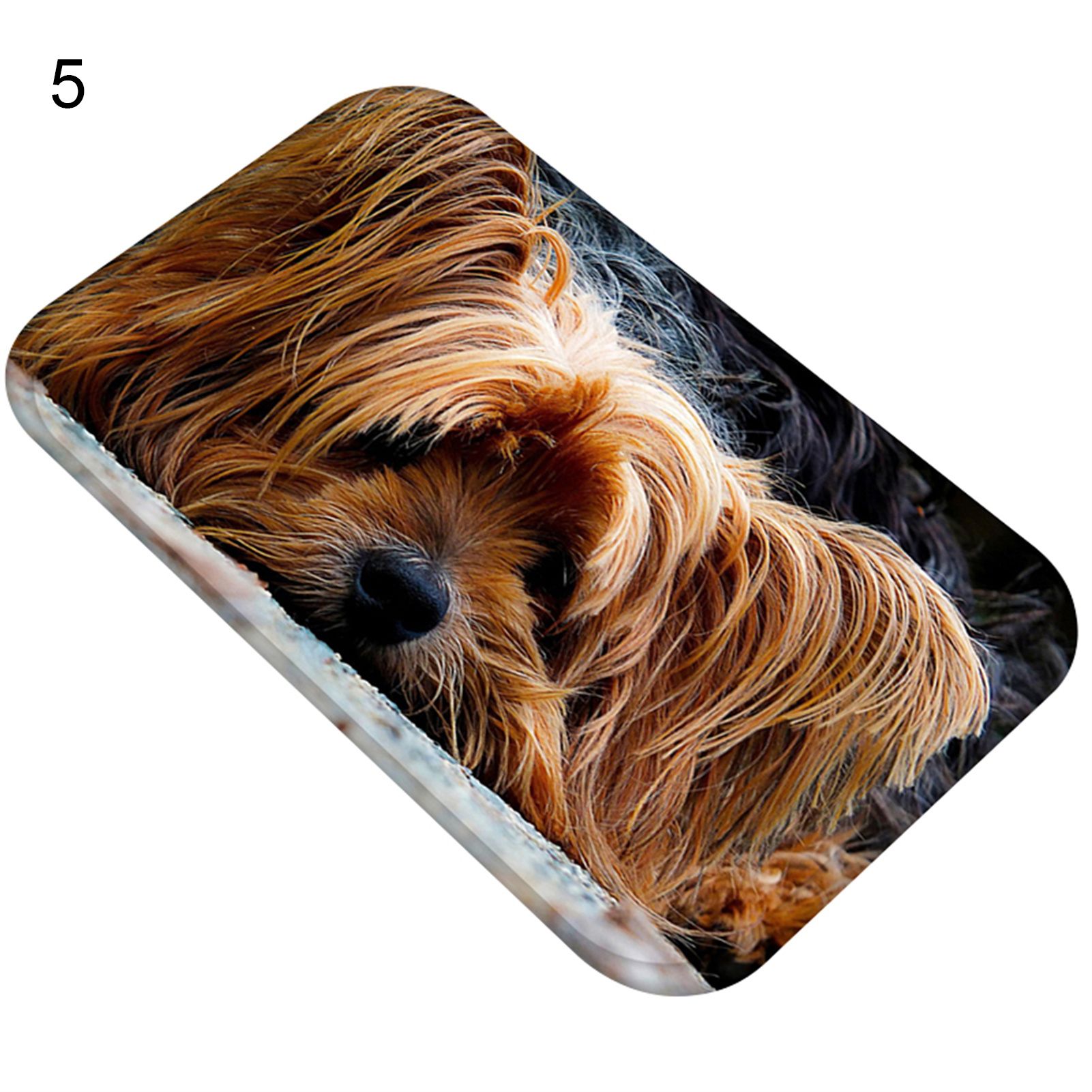 Moisture-proof Floor Mat All Match Flannel Super Absorbent Doormat Household Supplies