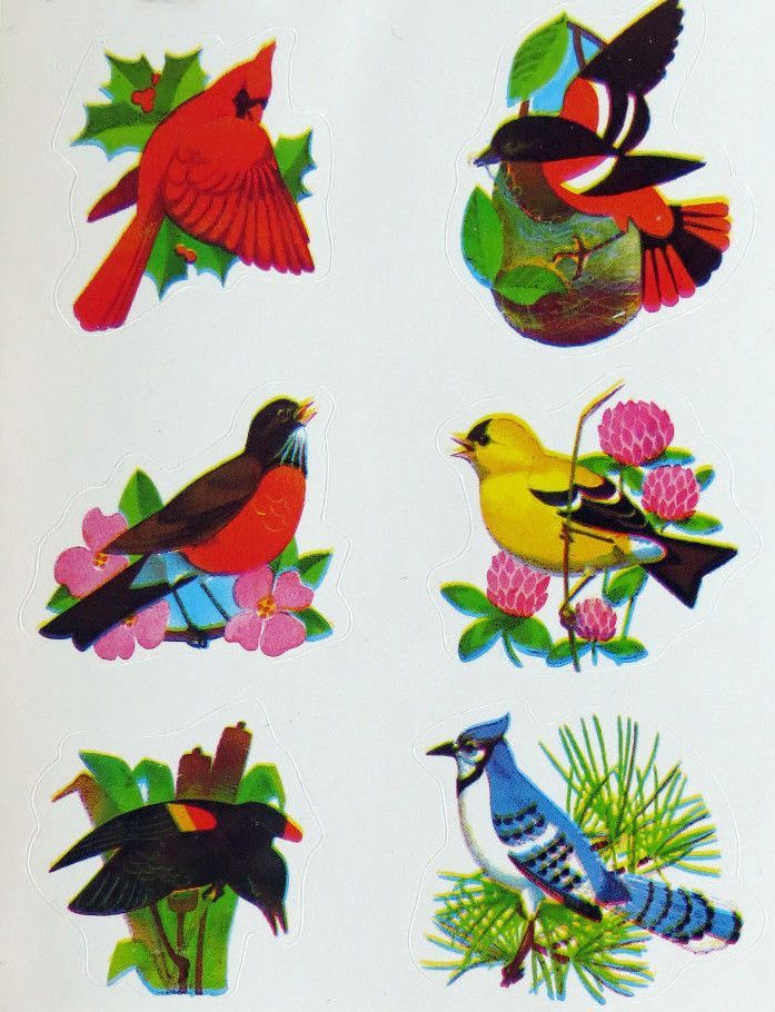 3D Bird Wall Sticker 8 PCS
