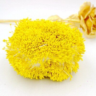 1mm 420pcs/lot Random Mixed Double Heads Artificial Mini Pearl Flower Stamen Pistil For Wedding Decoration DIY