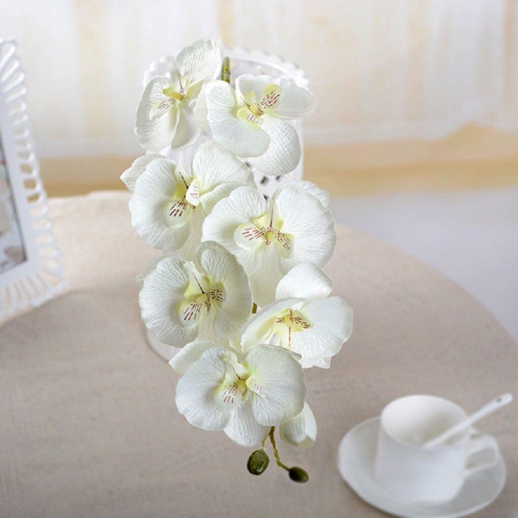 2020  Colorful Artificial Fake Flower Butterfly Orchid Silk Flower Bouquet Phalaenopsis Wedding Home Decor
