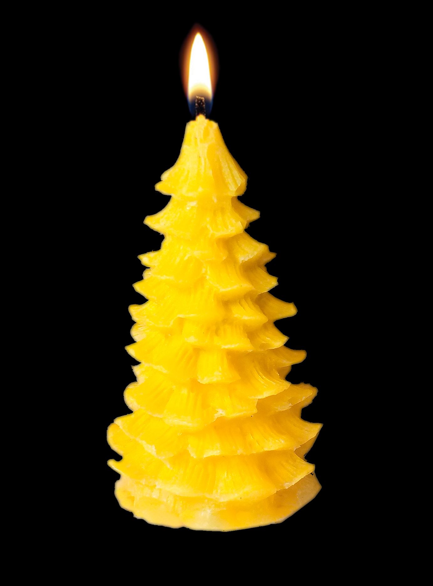 Happy Birthday Candle Special For Christmas Day