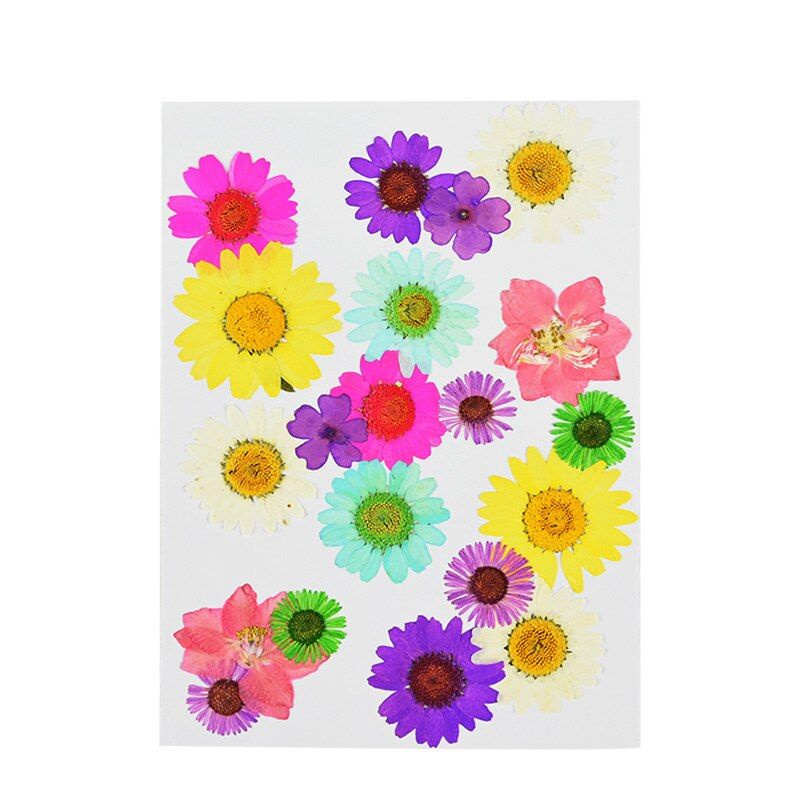 Pressed Flowers Mini Dried Flowers DIY Frame Scrapbooking Crafts Decor Preserved Flower Heads Wedding Party Home Decor Supplies