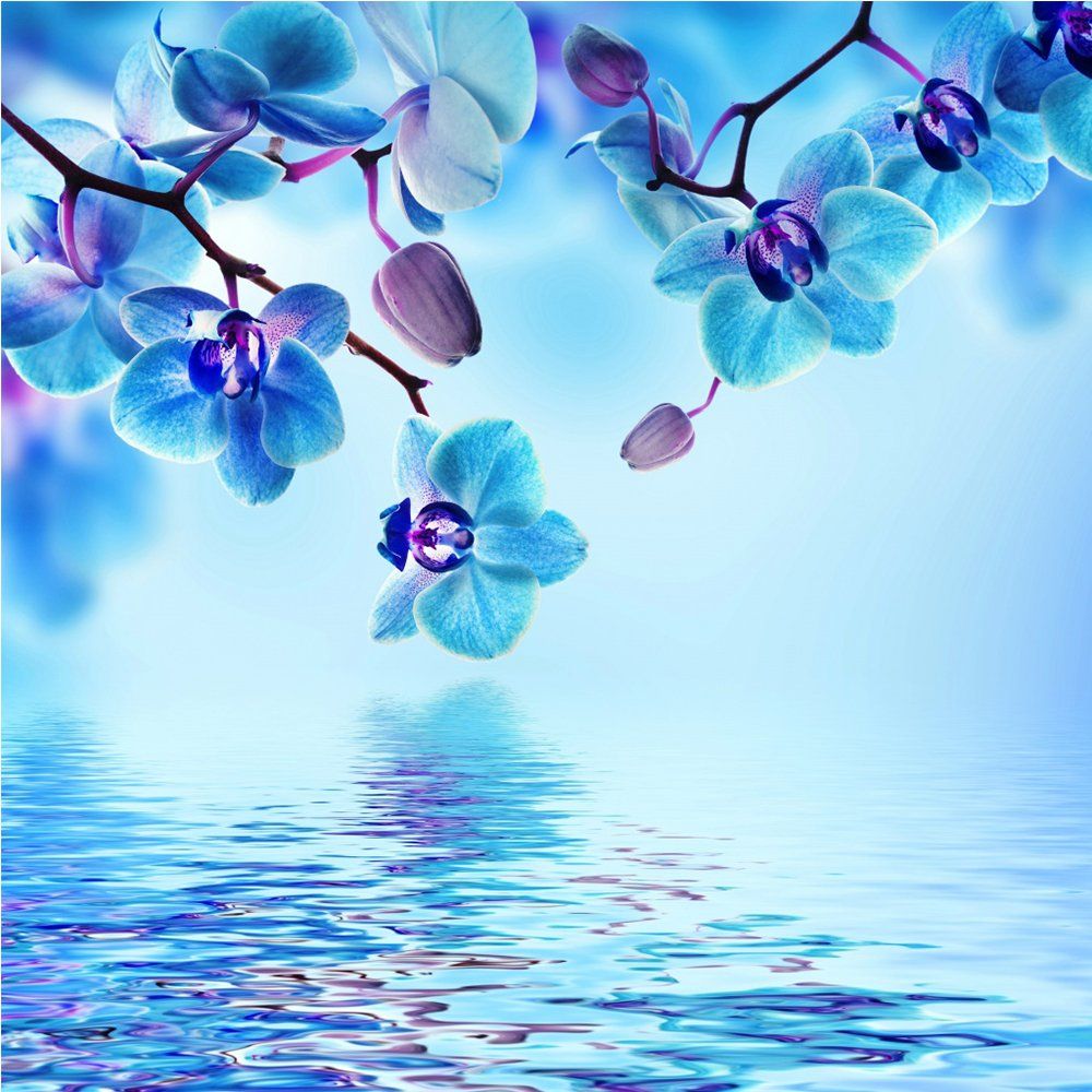 Delicate product 5D Diy Diamond Painting By Number Kits,Orchid(16X16Inch/40X40Cm)