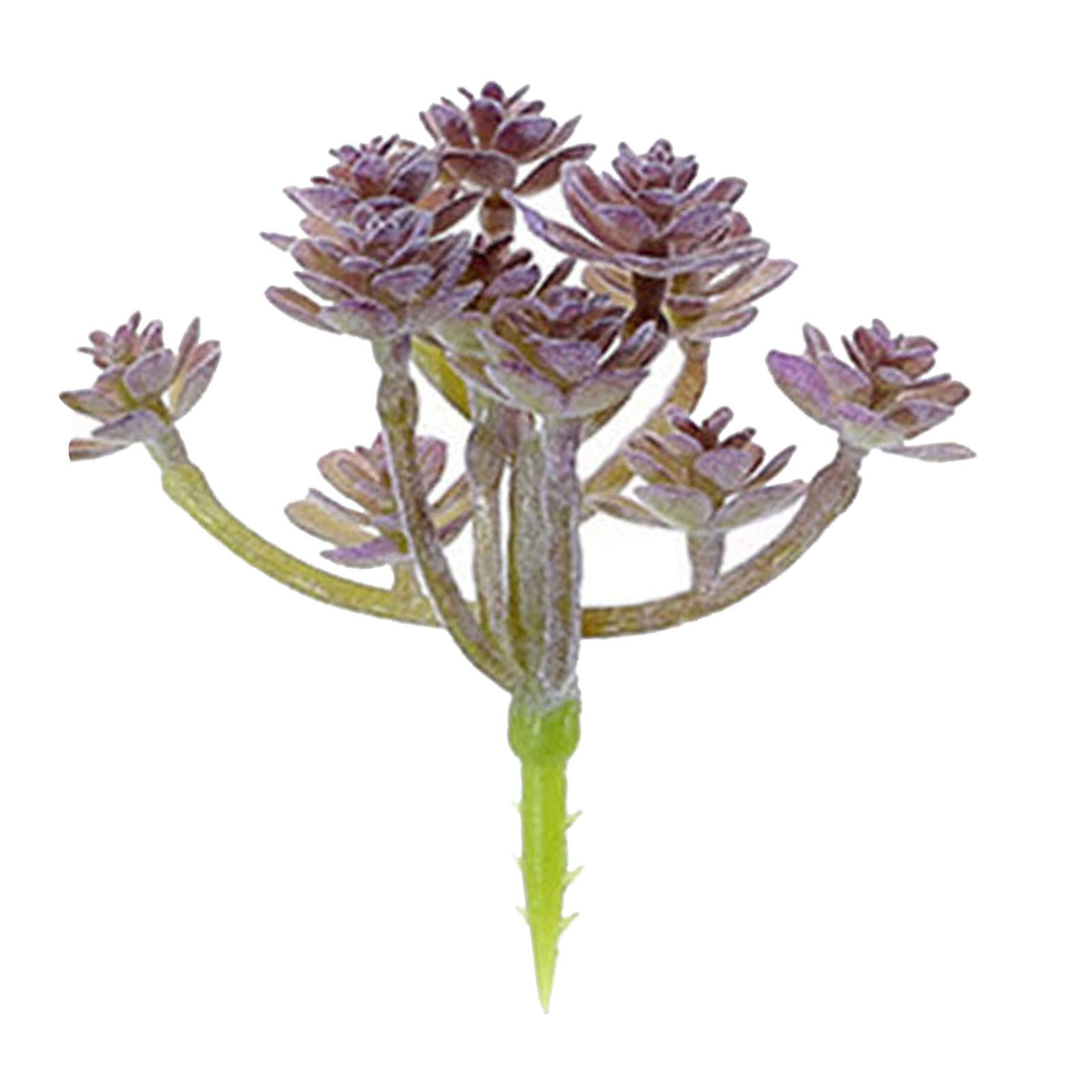 Simulation Succulents Bright Color Wedding Props Fake Succulents