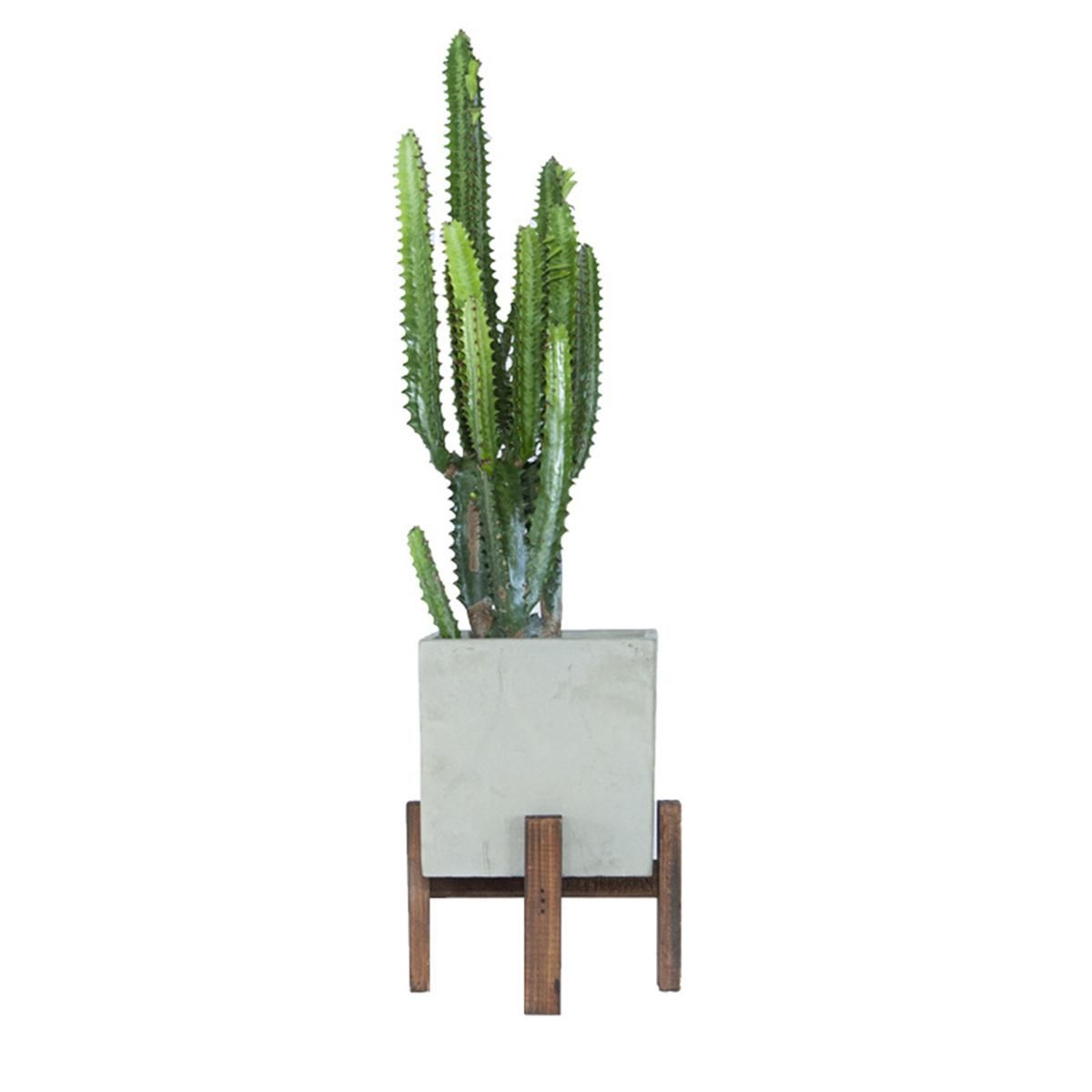 Garden Patio Planter Mid Century Wooden Plant Stand Ceramic Pot White Large
