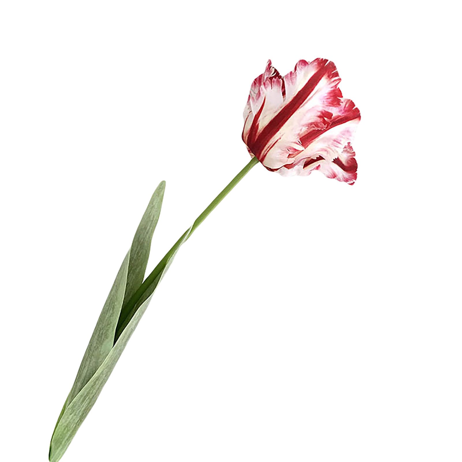 Fake Flower Non-fading 3D Parrot Tulip istic Artificial Flower
