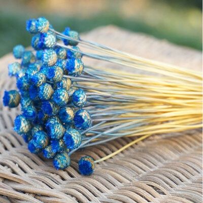 50pcs/lot,Natural Dried Mini Happy Flowers,Display Flower DIY Party christmas Home Decoration accessories,mini flowers