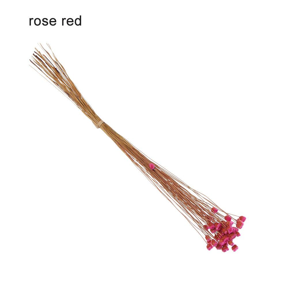 50pcs Kawaii Happy Flower Natural Small Dried Flower Pressed Dried Flowers Mini Decorative Arrangement Photo Backdrop Decoration