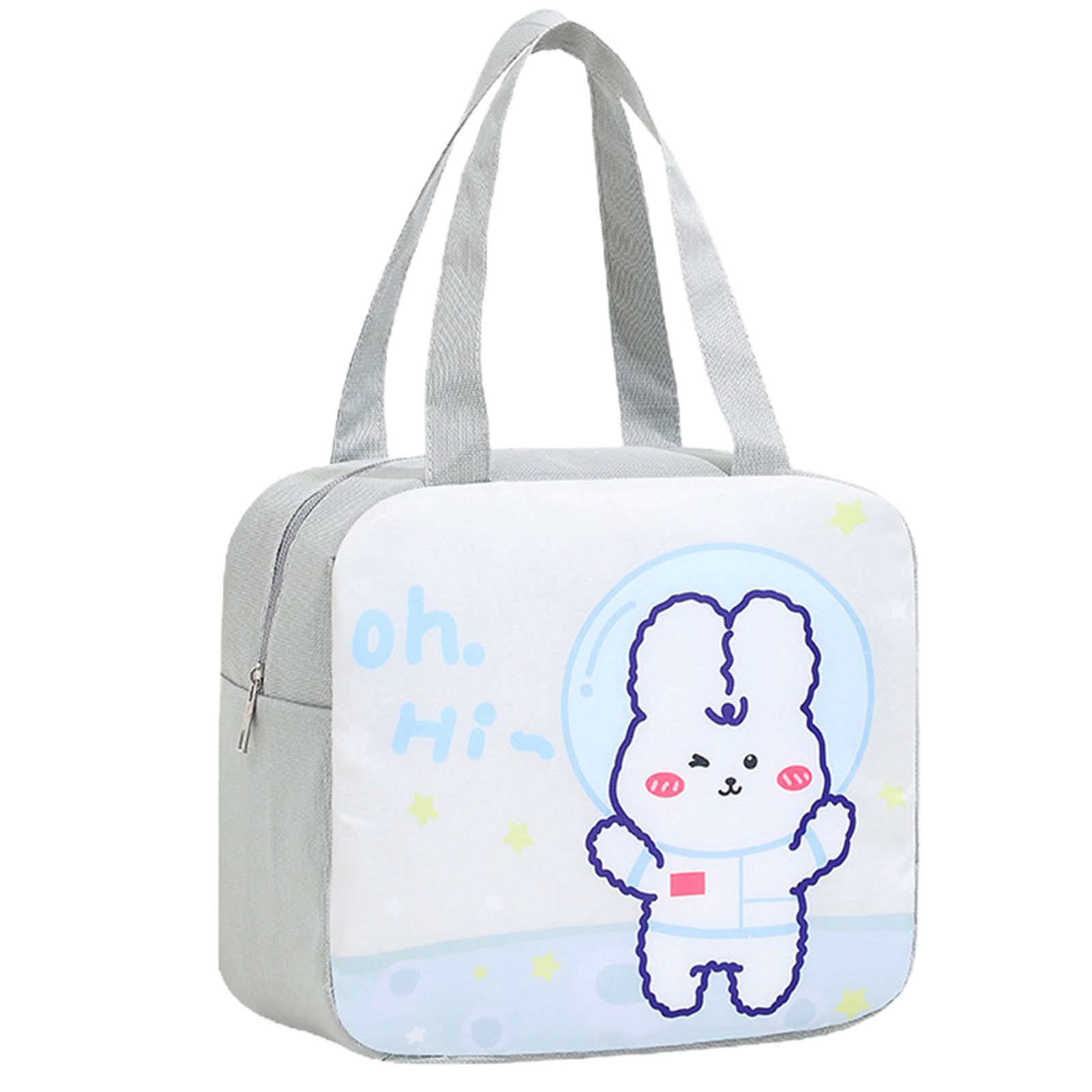 Lunch Box Bag Satin Resistant Beh Picnic Insulated Tote Bag