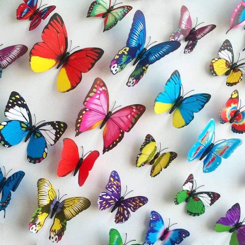 Butter Fly Wall Sticker Plastic Made -12pc