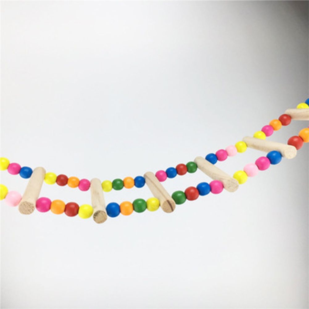 Colourful Pet Climbing Ladder Biting Wood Brick toys with Hanging Rope for Bird Parrot Supplies