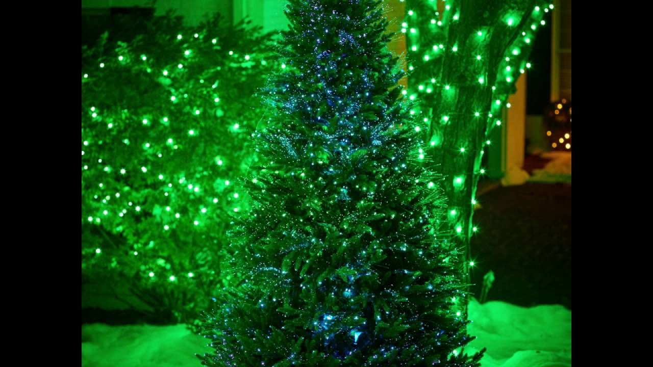 Decorative Fairy Lights - 30 Feet