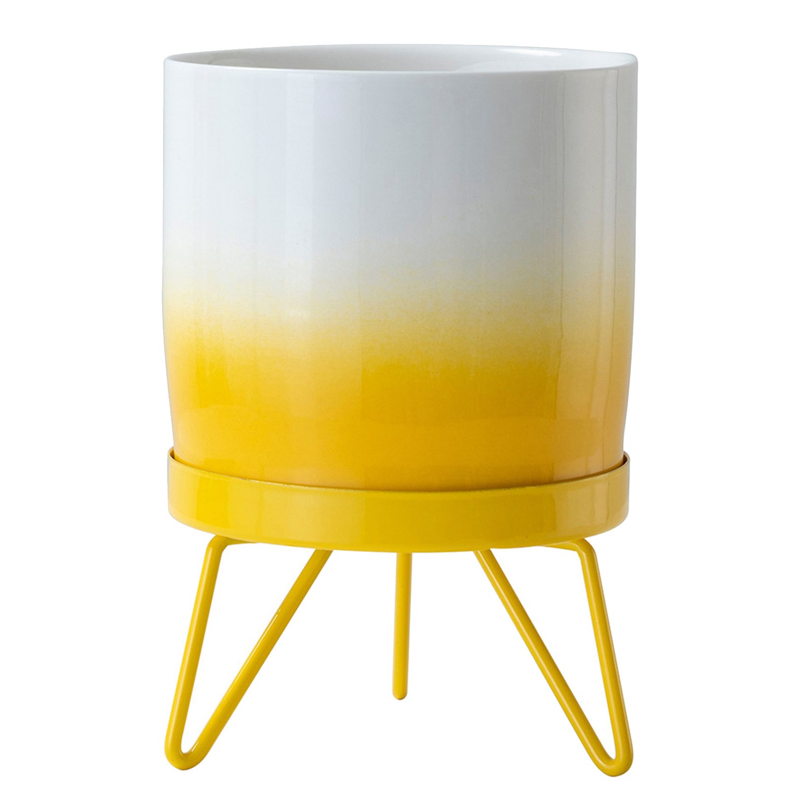 Flower Pot Modern Style Round Pot with Iron Frame Sh