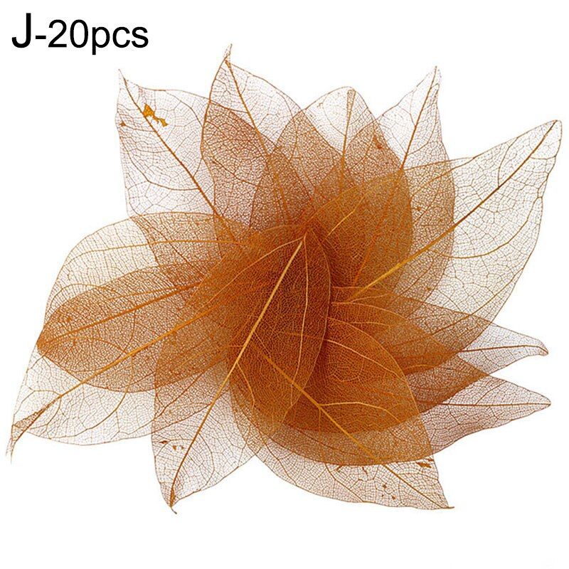 20pcs Natural Skeleton Leaf Vein Dried Nail Art Flowers Materials for DIY Bookmarks Handmade Accessories Home Party Decoration