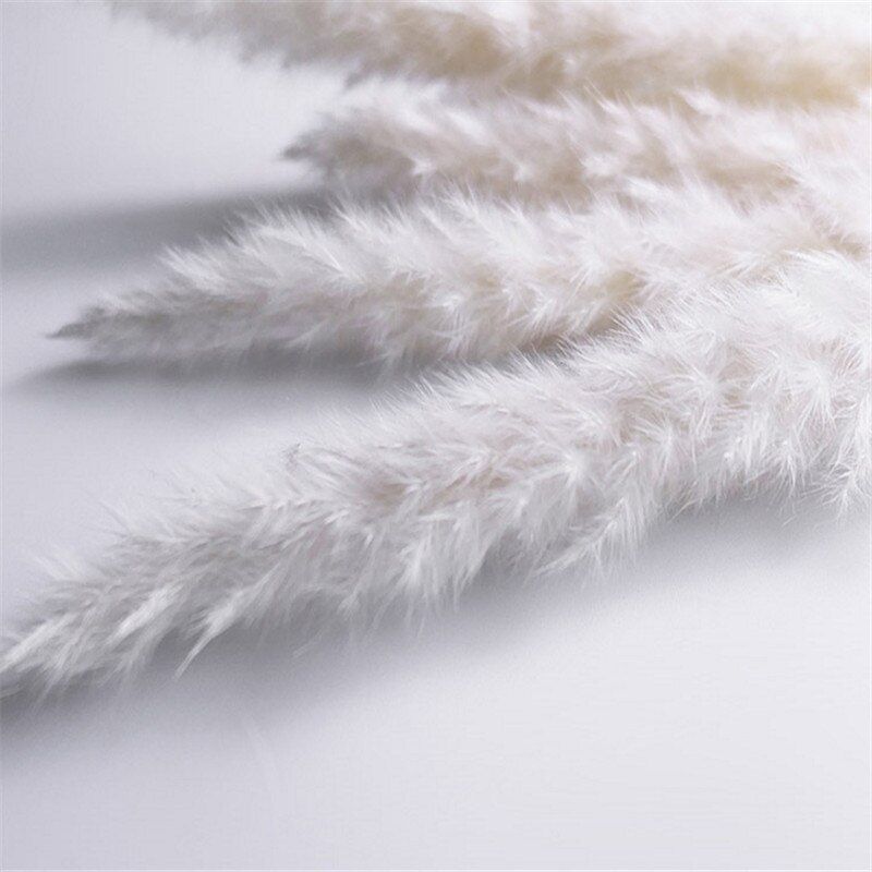 Natural Dried pampas Grass pink/white/yellow color Rabbit Tail Grass Dry Bouquet Phragmites Wedding Flowers Bunch for Home Decor