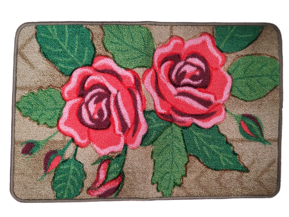 standard multicolour door mat