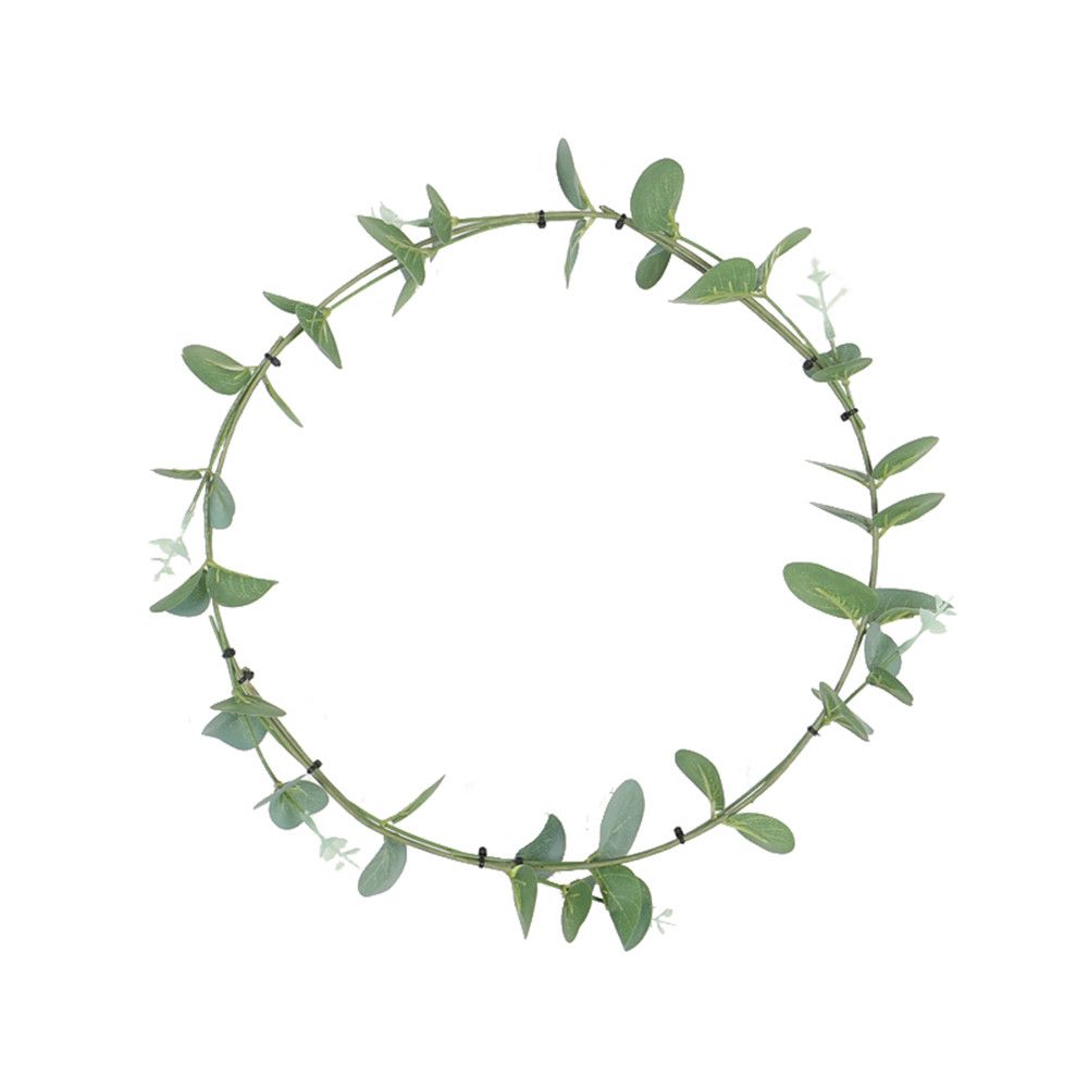 Yfashion 30CM ulate Eucalyptus Leaves Wreath with Iron Ring Hanging Pendant for Door
