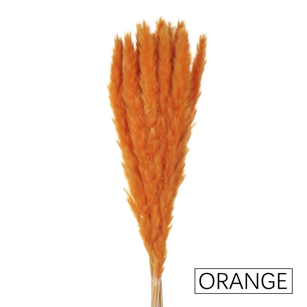 15Pcs Reed Natural Home Bunch Dried Pampas Wedding Flower Bunch Bulrush Bouquets Flavorful Small Durable for Home Decor