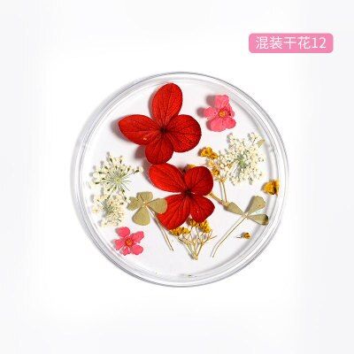 Mix Dried Flowers Nail Decorations Jewelry Natural Floral Leaf Stickers 3D Nail Art Designs Polish Manicure Accessories makeup