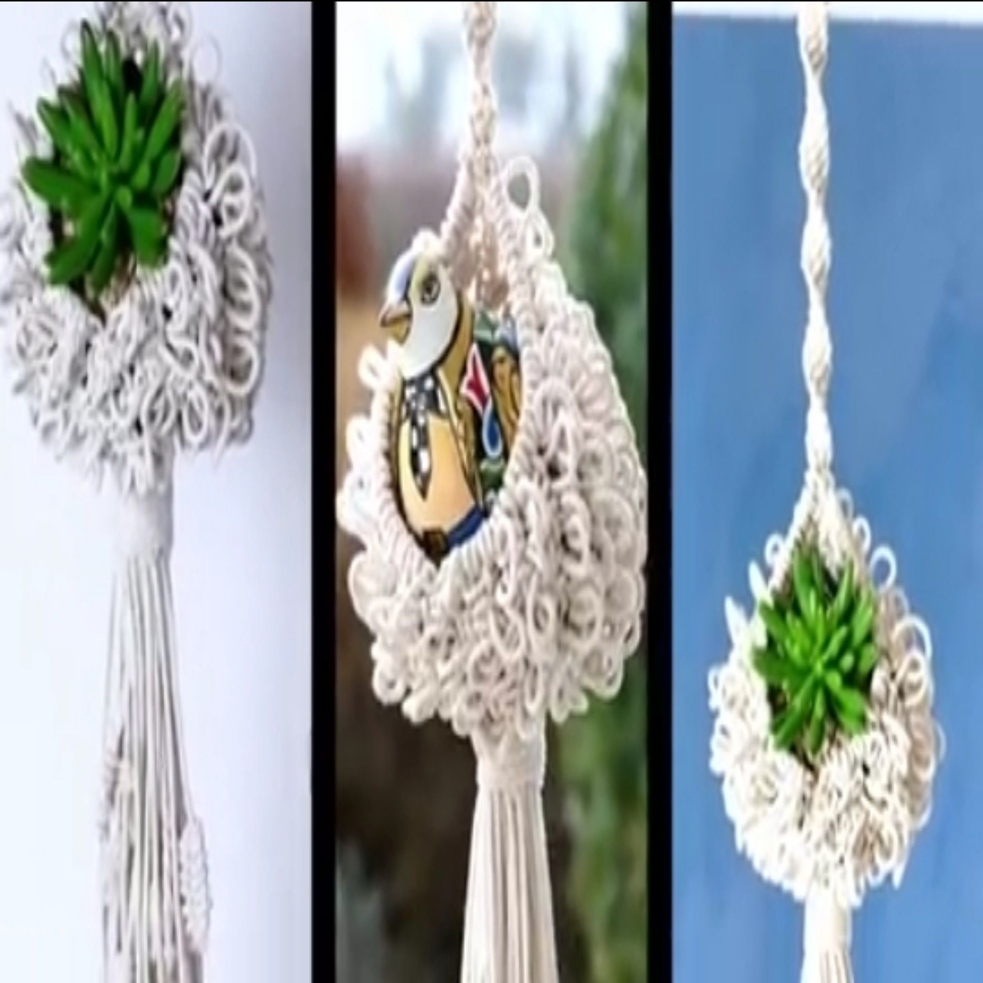 Macrame plant hanger