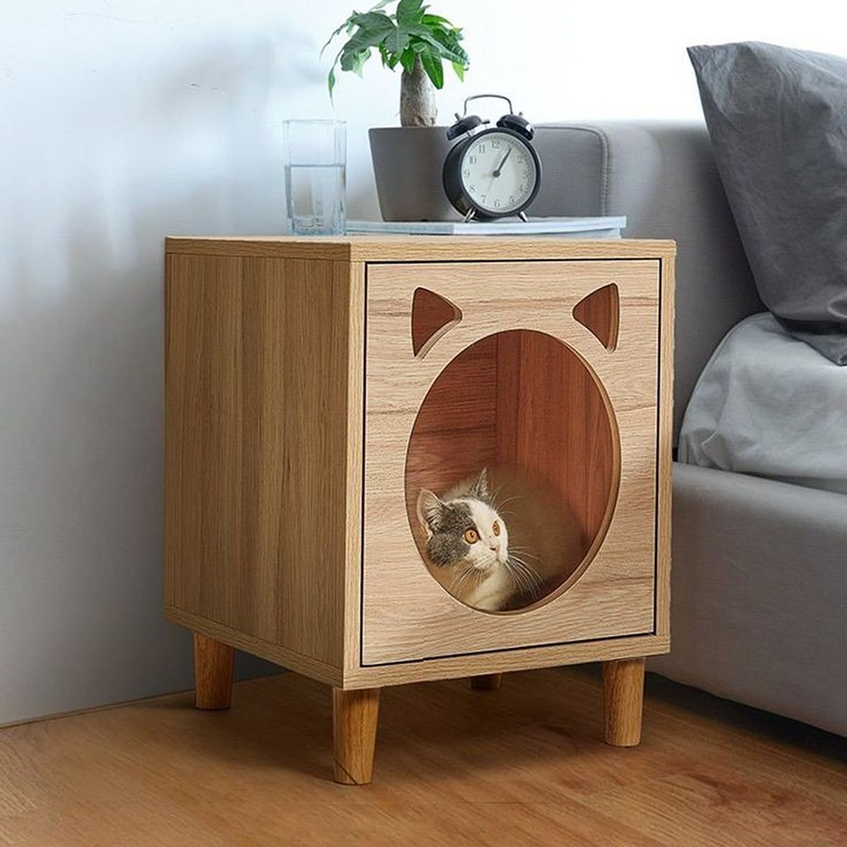 Cat House 55