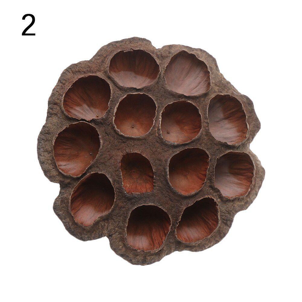 Natural Dried Lotus Flowers Office Decor Emulation Flower Arrangement Home Party DIY Decor Supplies Crafts Pressed Flowers