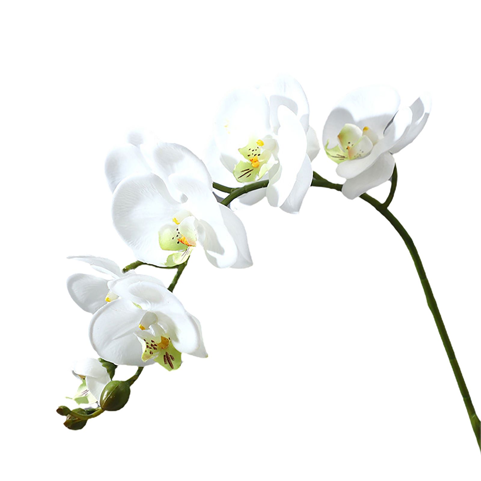 Fake Flower Delicate Texture Vivid Faux Phalaenopsis Flower Desktop Ornament