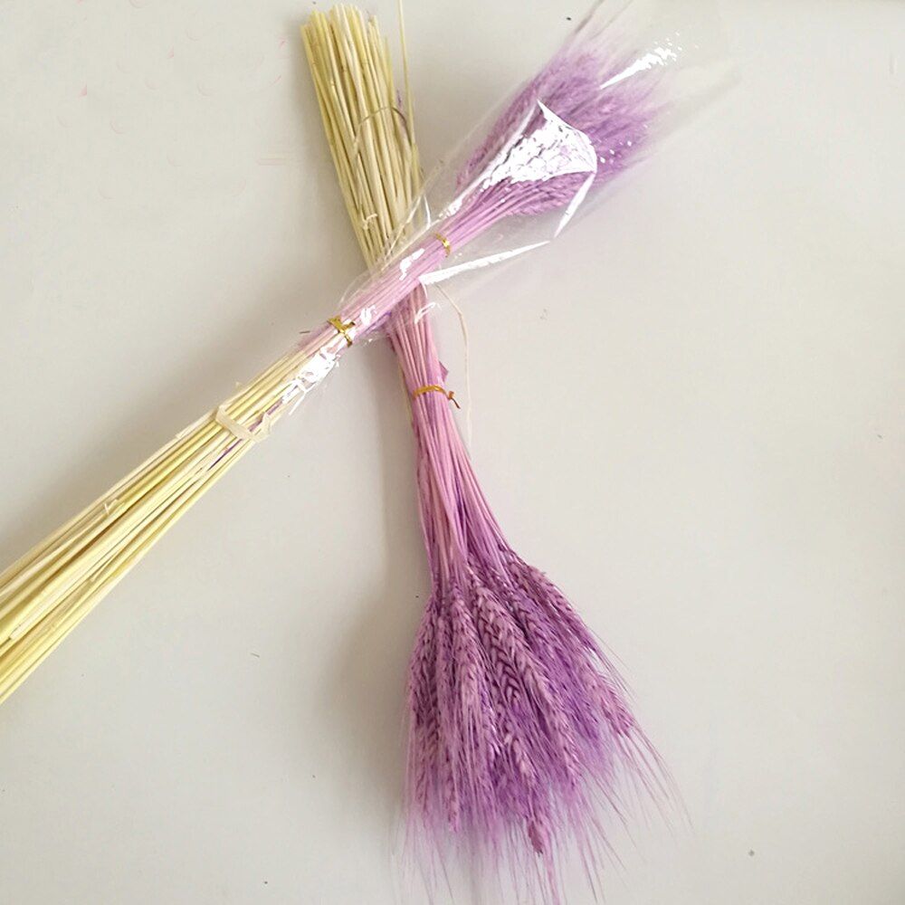 100pcs 6 color available natural dried flower bouquets natural dried ear of wheat bouquets wheat ear Bunches